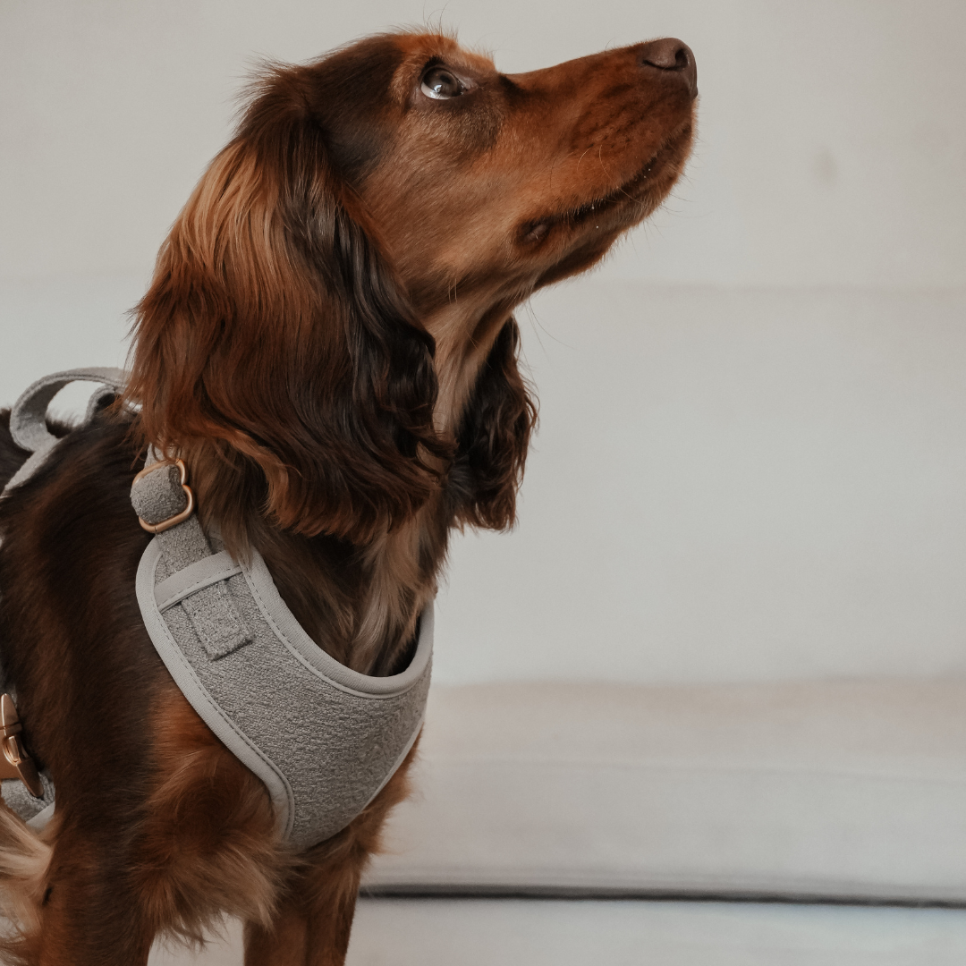 Matte hardware detail on the Matcha Bouclé Adjustable Harness