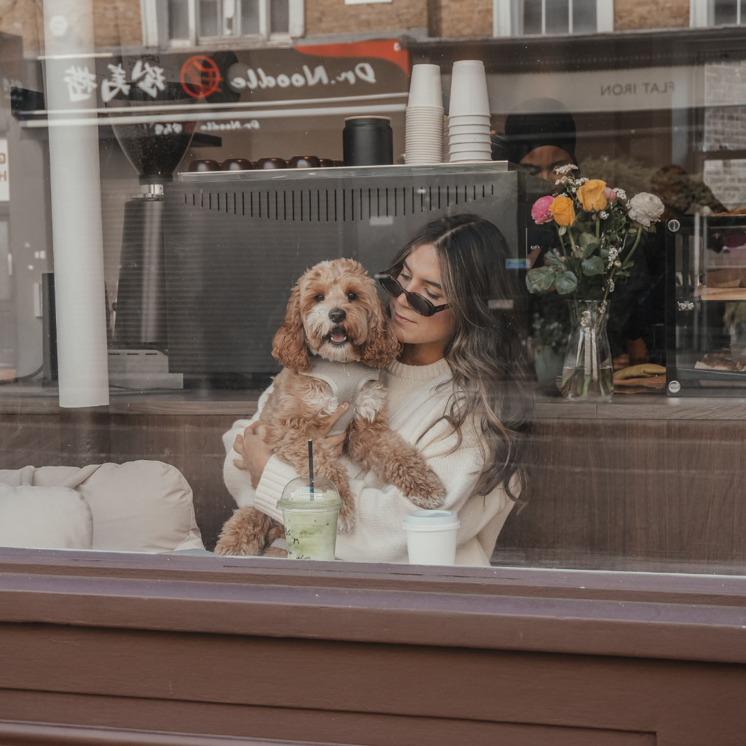 Matcha Bouclé Adjustable Harness for stylish everyday dog walks and travel