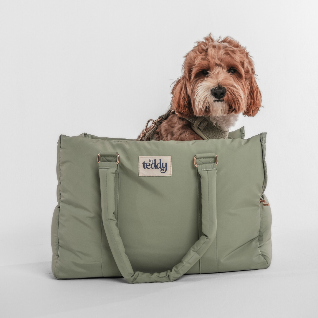 Matcha Puffer Carrier styled with matching BY TEDDY accessories
