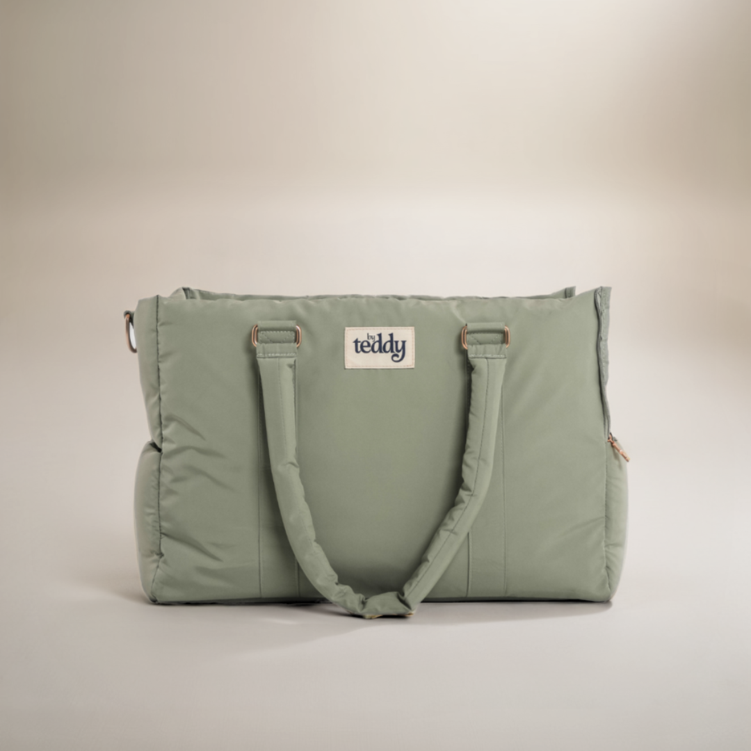 Matcha Puffer Carrier by BY TEDDY for small dogs