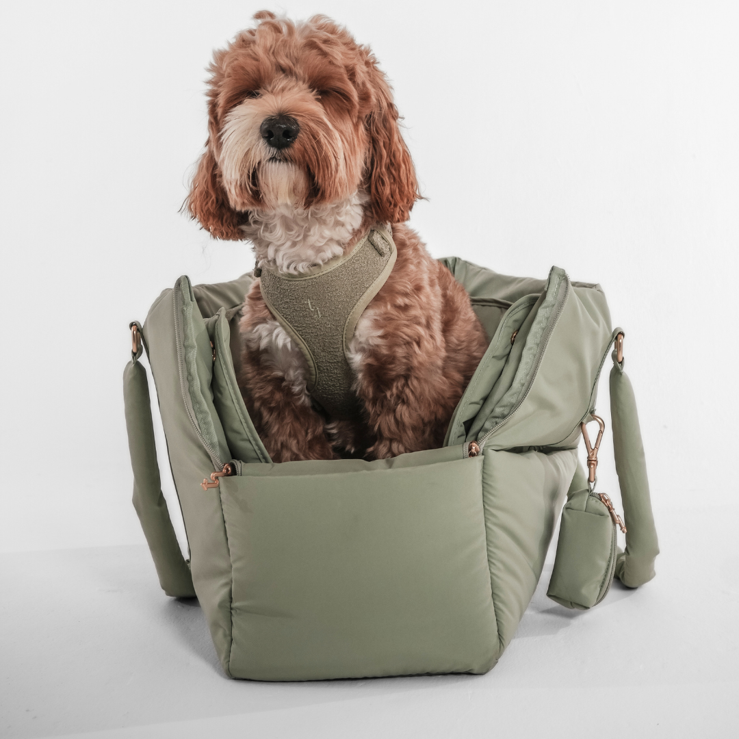 Matcha Puffer Carrier designed for stylish dog travel