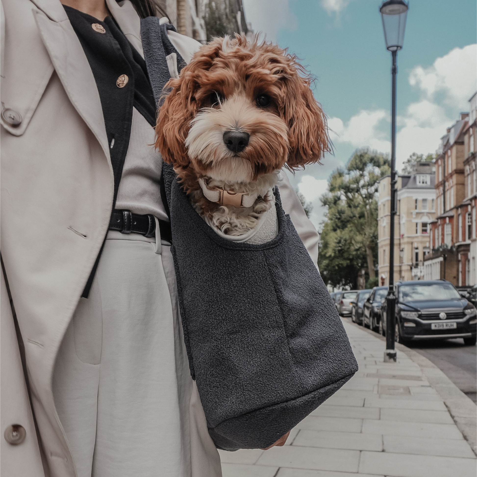 Person carrying a small brown and white dog in a black sling on a city street.