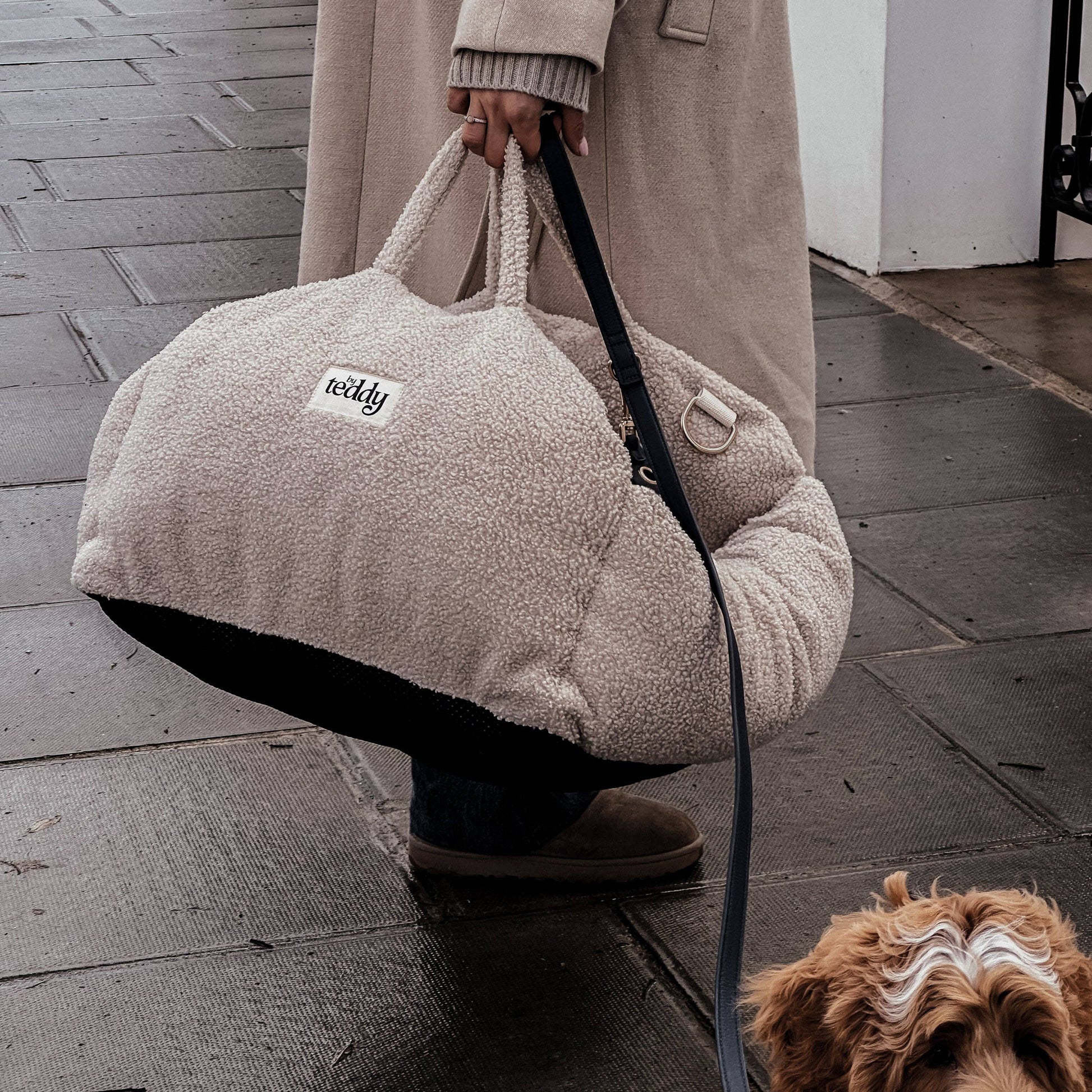 Person holding a large beige pet carrier with a dog on a leash.