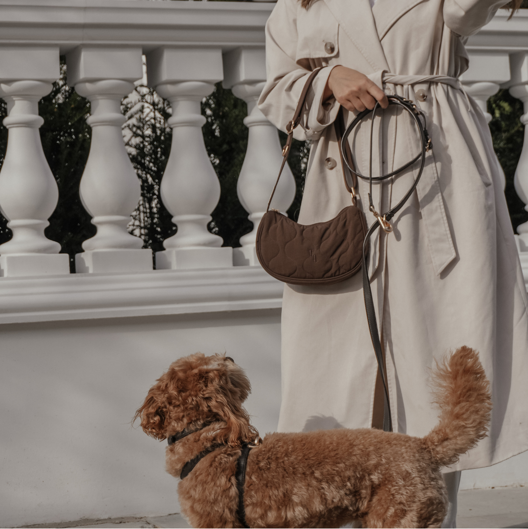 Modern quilted walking bag for dog owners