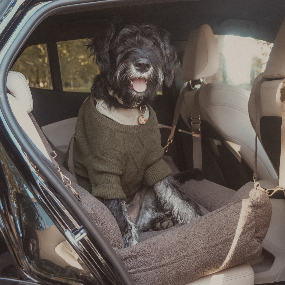 Modern luxury dog travel accessory by BY TEDDY