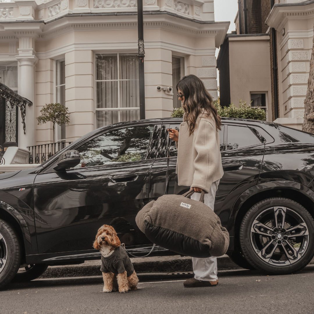 Modern minimalist dog travel accessory by BY TEDDY
