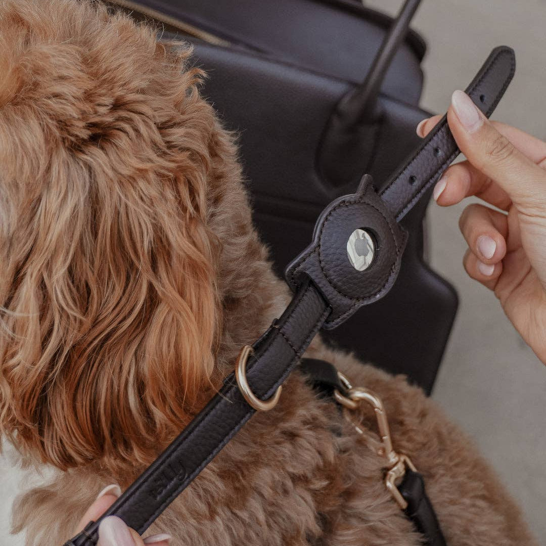 Person holding a black leather strap with a dog in the background