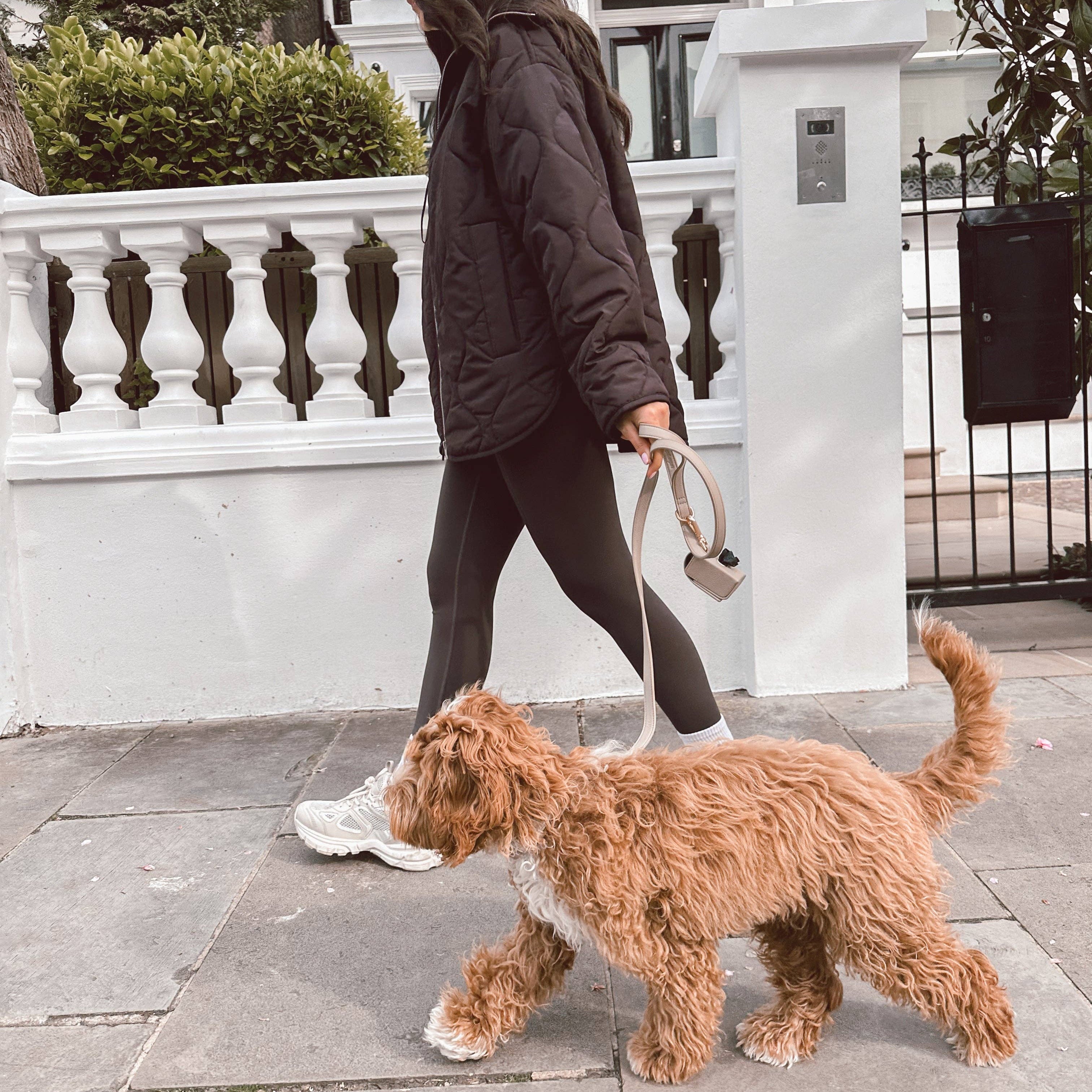 Person walking a dog on a leash in an urban setting