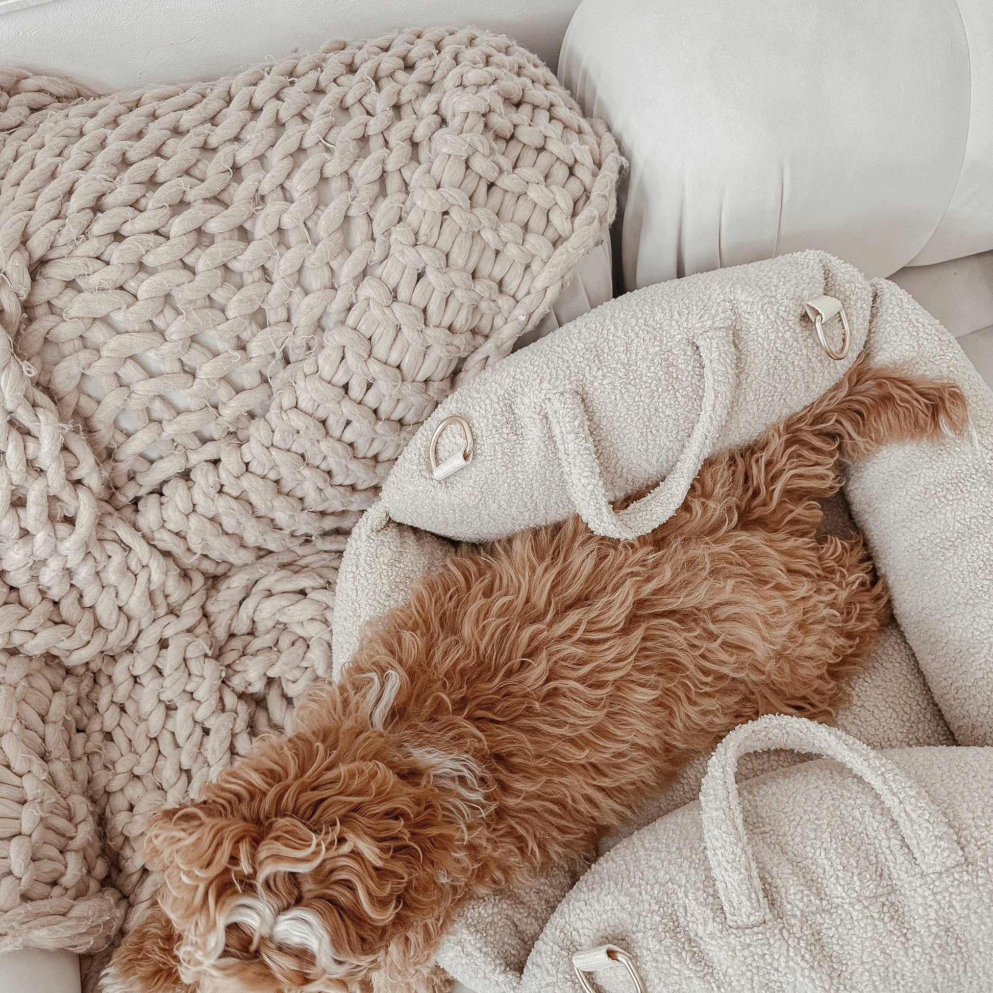 Cozy scene with a fluffy blanket, pillow, and dog on a white surface
