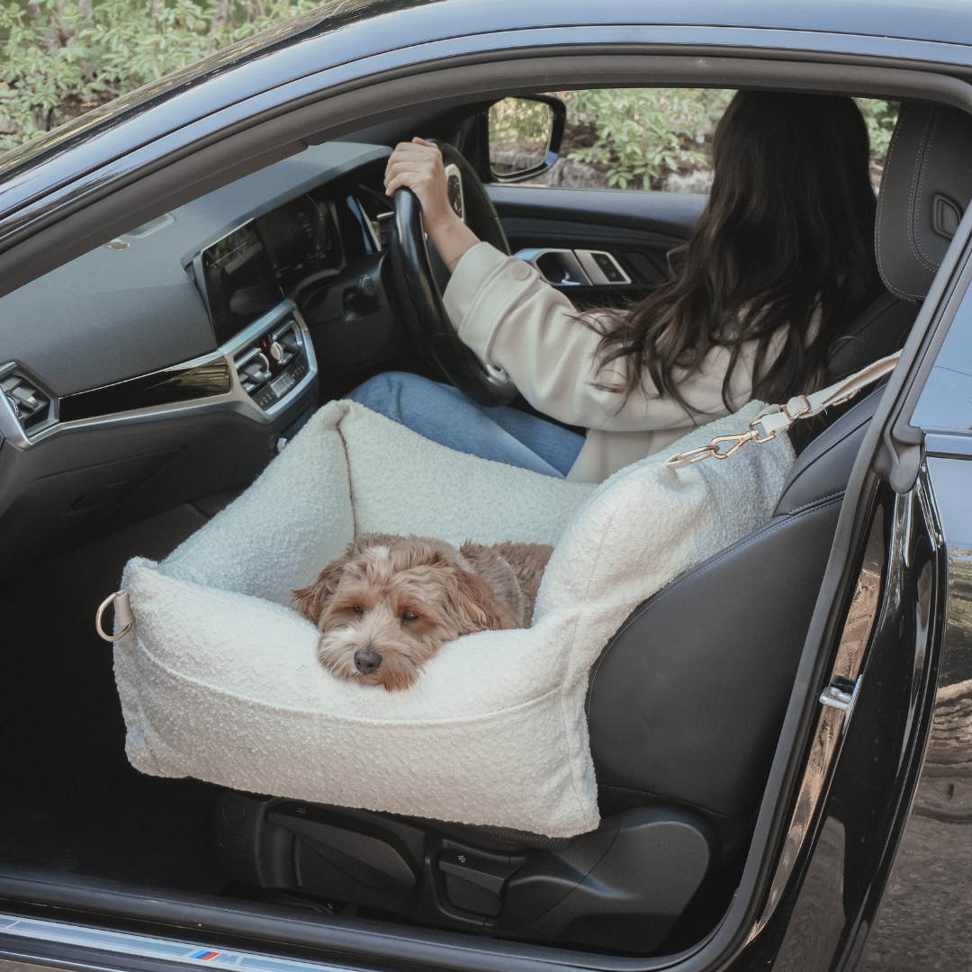 Dog in a car seat cover inside a vehicle with a person driving.