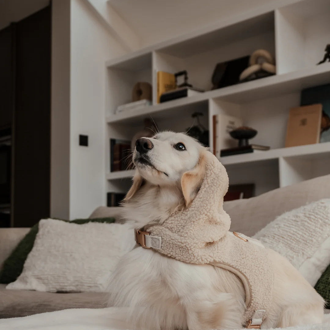 Premium cosy dog harness outfit by BY TEDDY