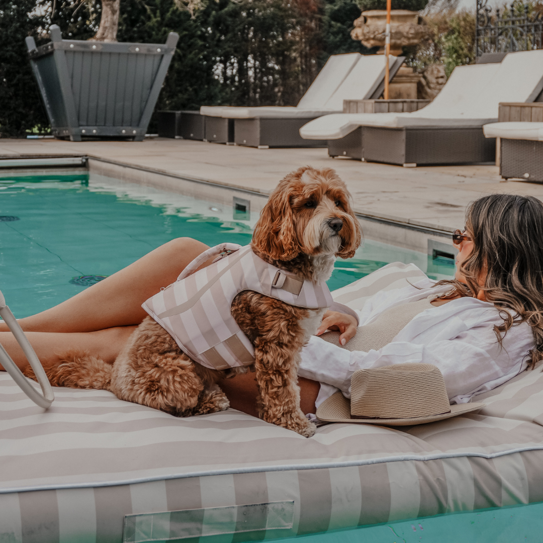 Woman and dog lounging by a pool with a pool chair and umbrella in the background.