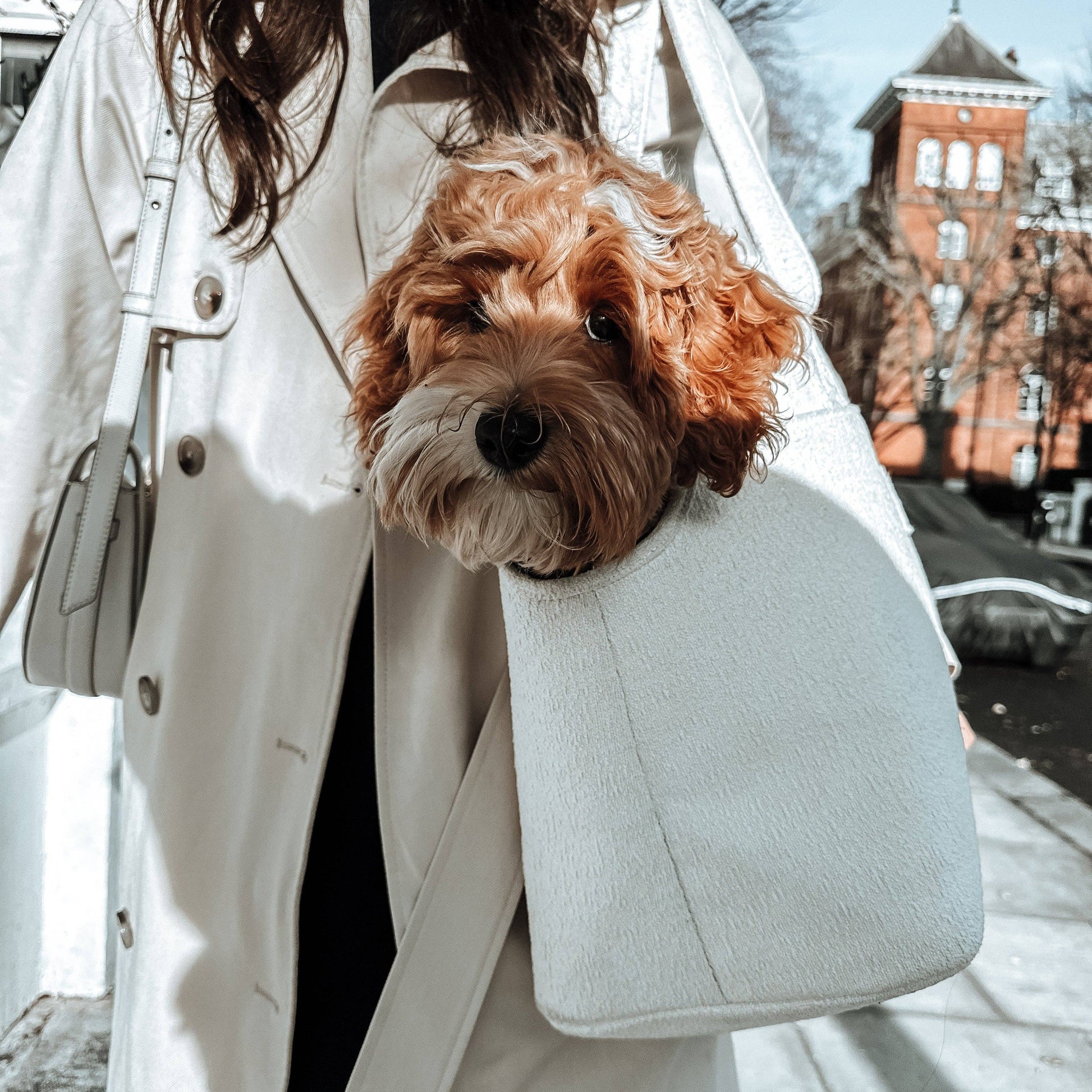 Premium Marshmallow Bouclé pet travel bag