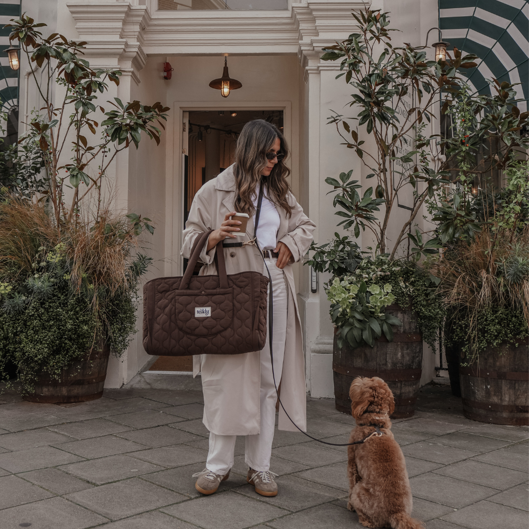Woman with a brown bag and a dog on a leash in an outdoor setting