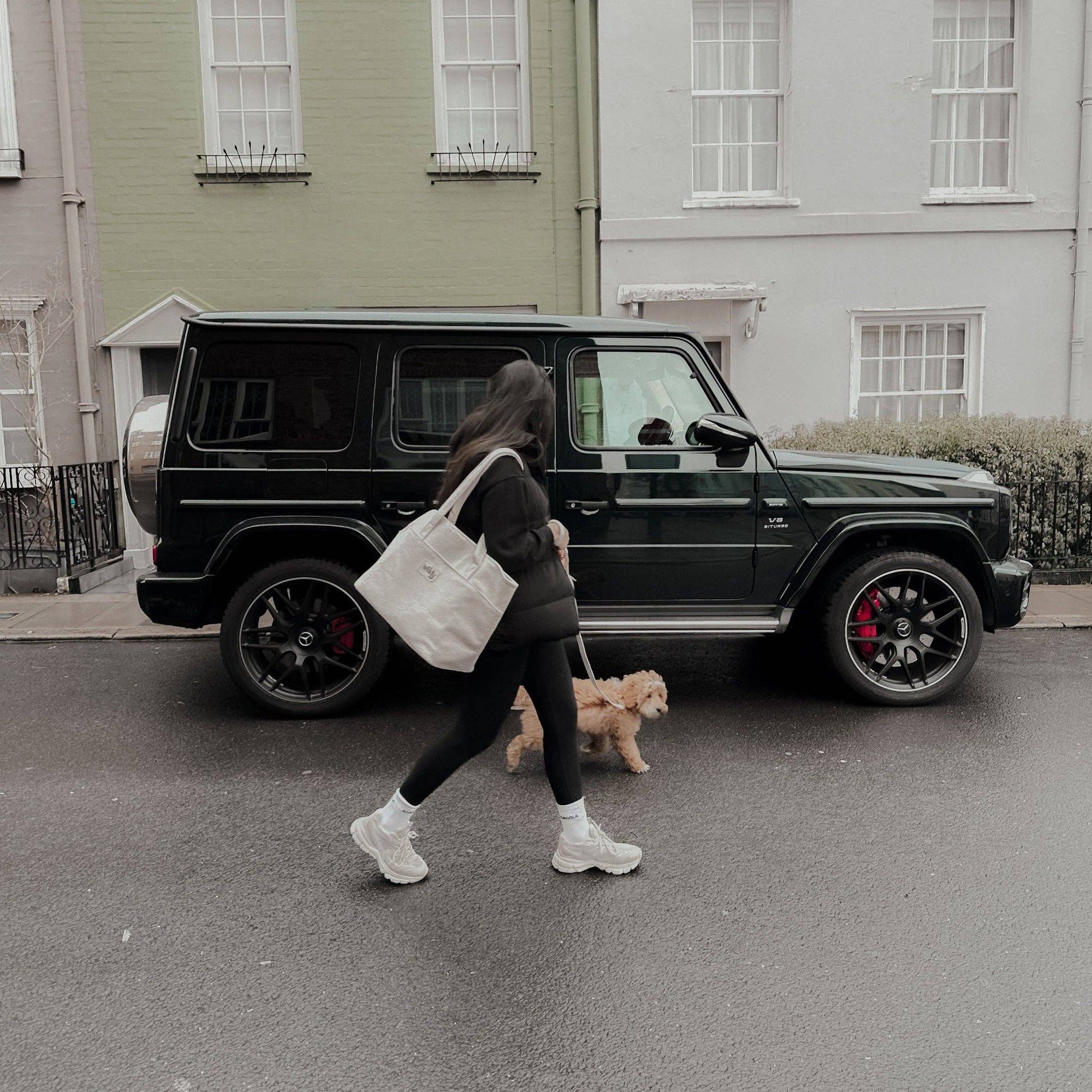 Person walking a dog on a street with a black SUV in the background