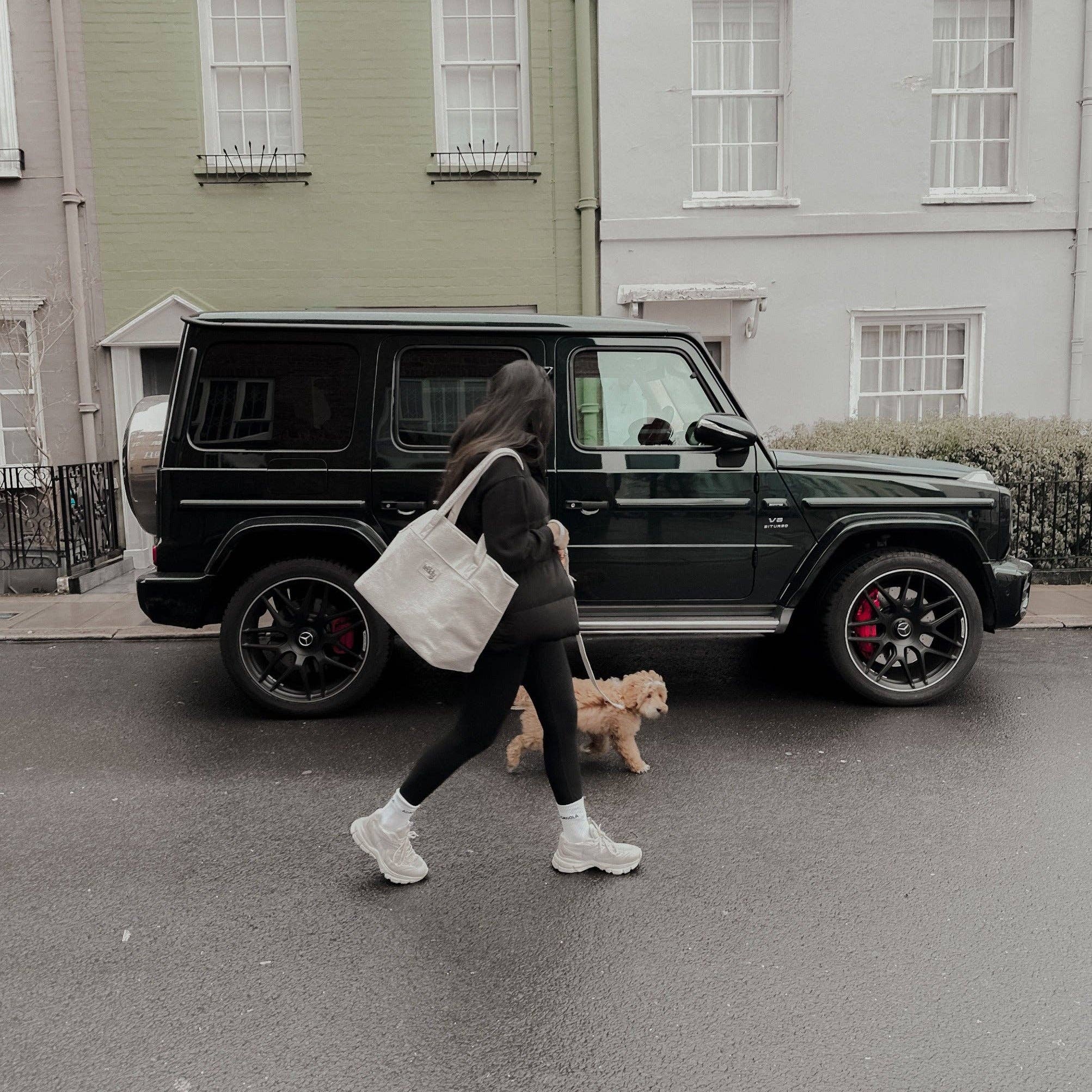 Person walking a dog on a street with a black SUV in the background