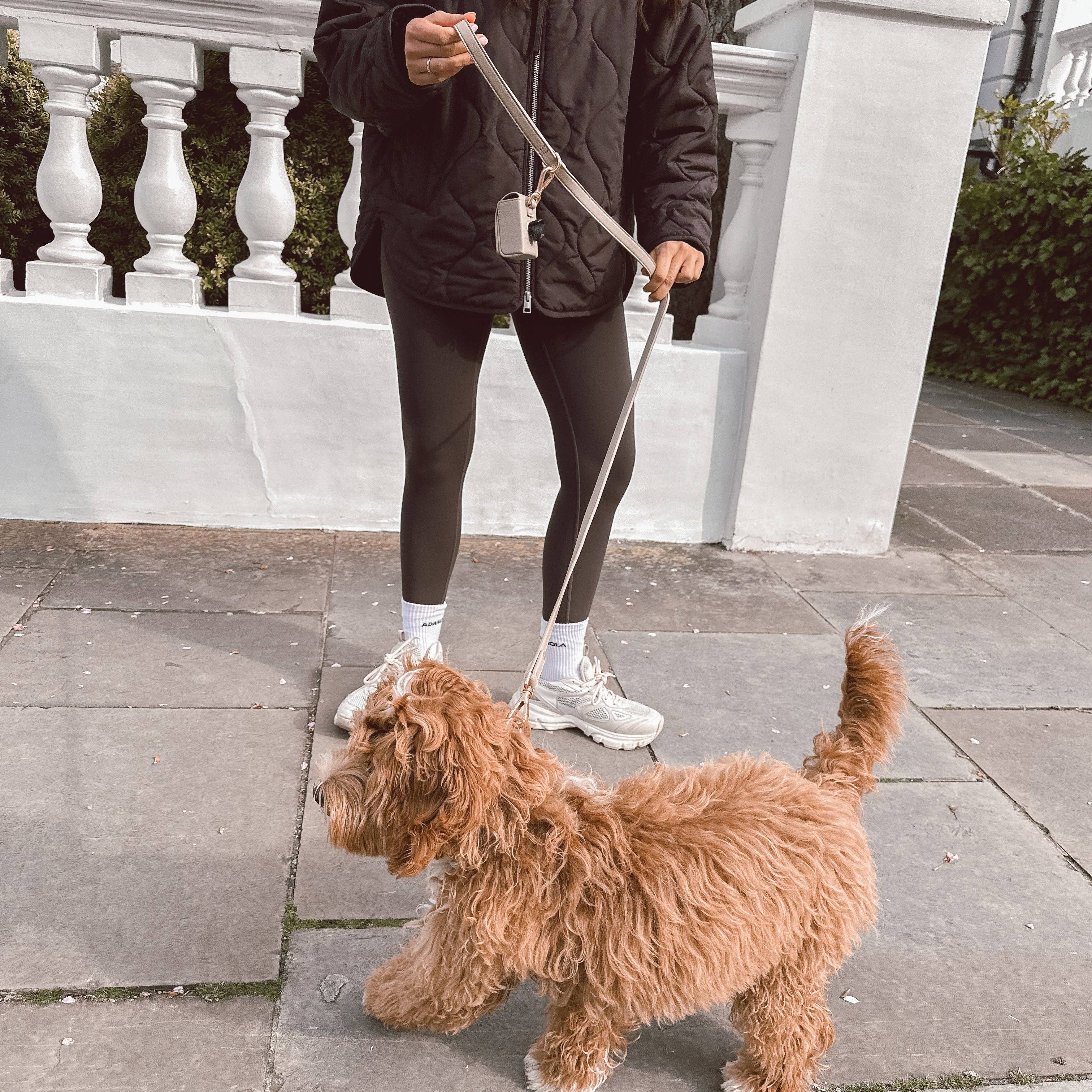 Person walking a fluffy brown dog on a leash in an urban setting.
