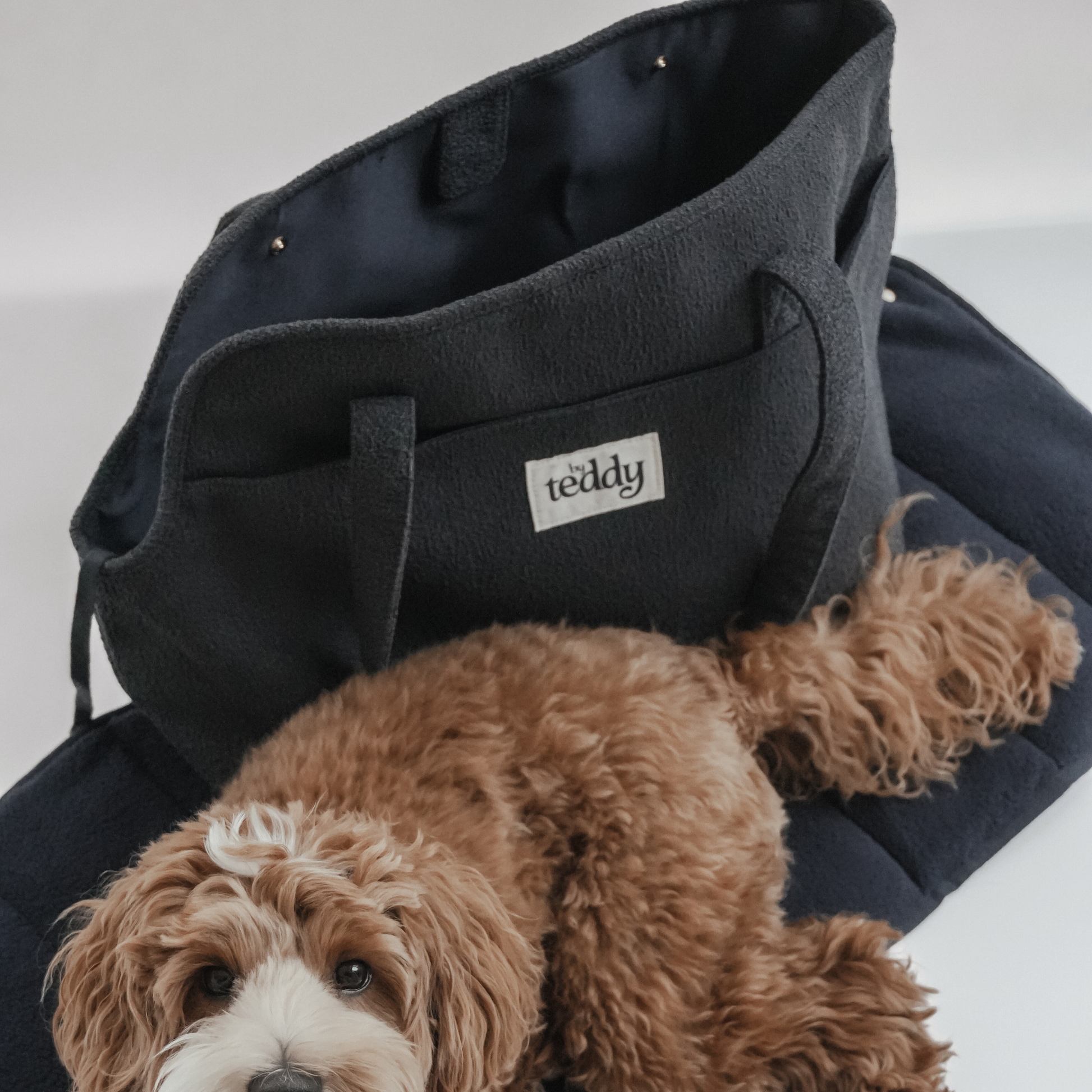 Black pet carrier with a brown dog inside on a white background