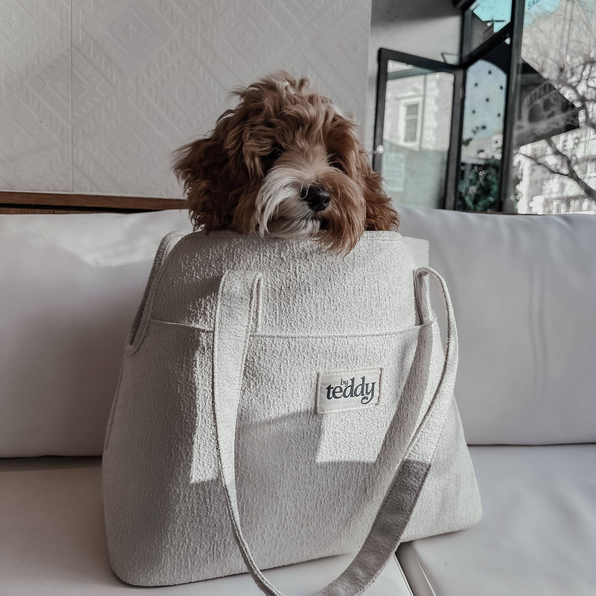 Dog peeking out from a textured tote bag with 'teddy' branding on a white couch.