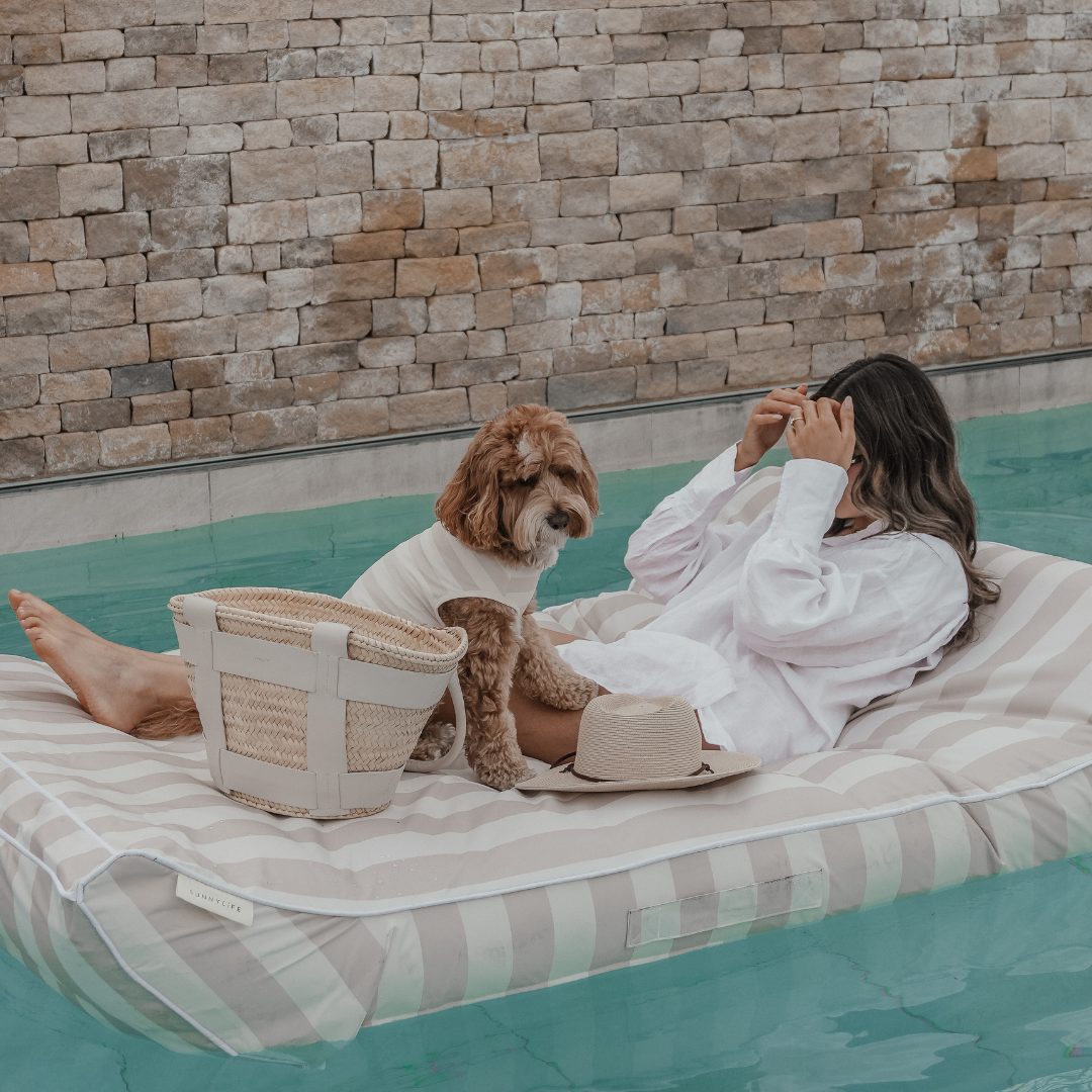 Summer dog cooling accessory for warm weather walks