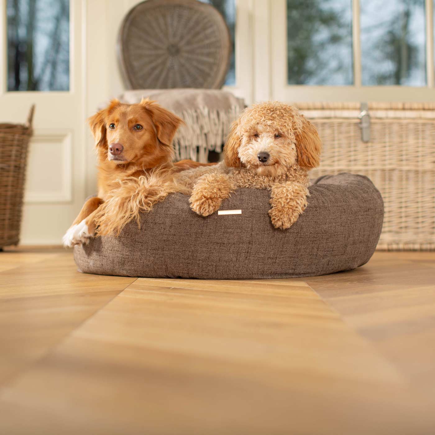 Two dogs on a brown dog bed in a room with wooden flooring and a window.