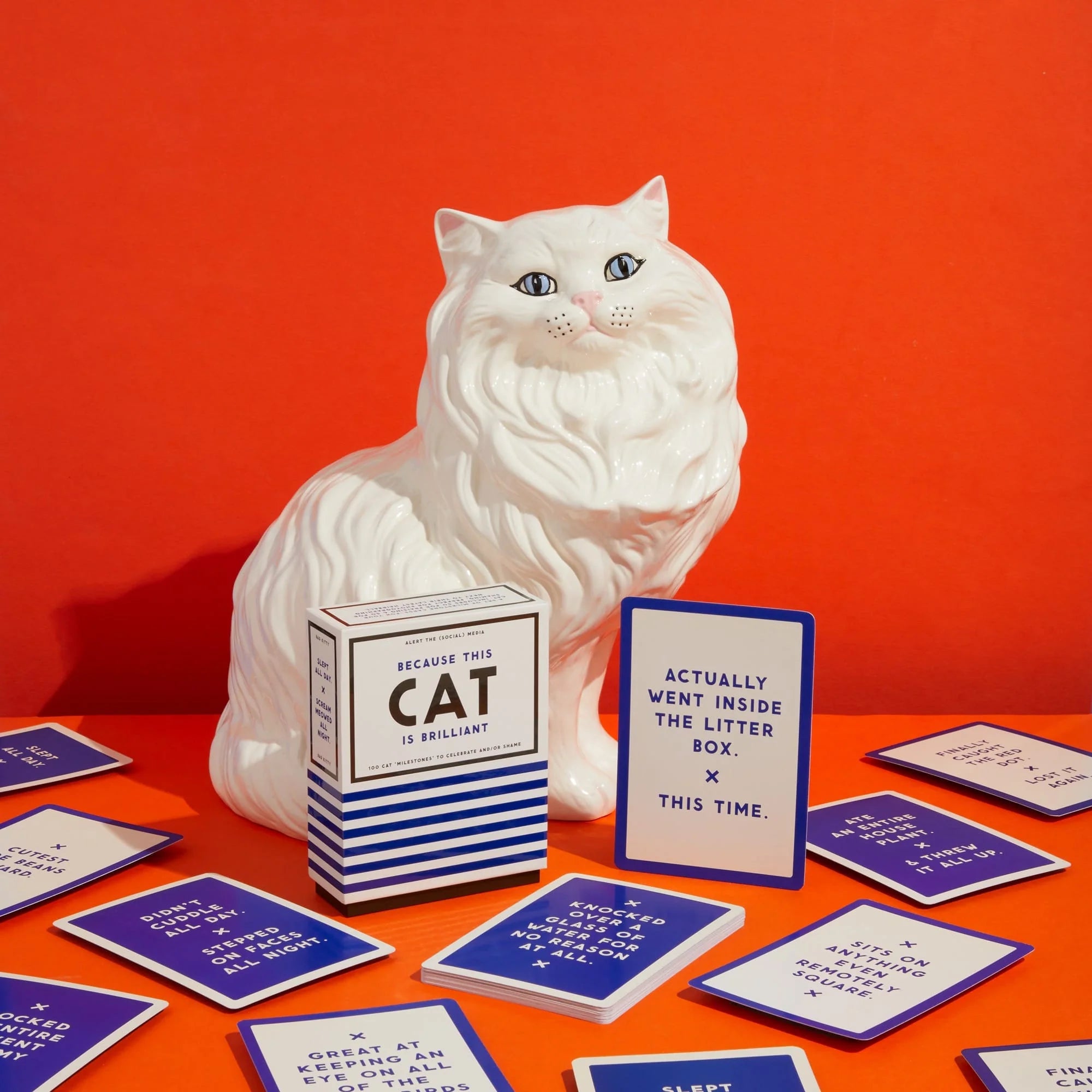 Because This Cat Is Embarrassing