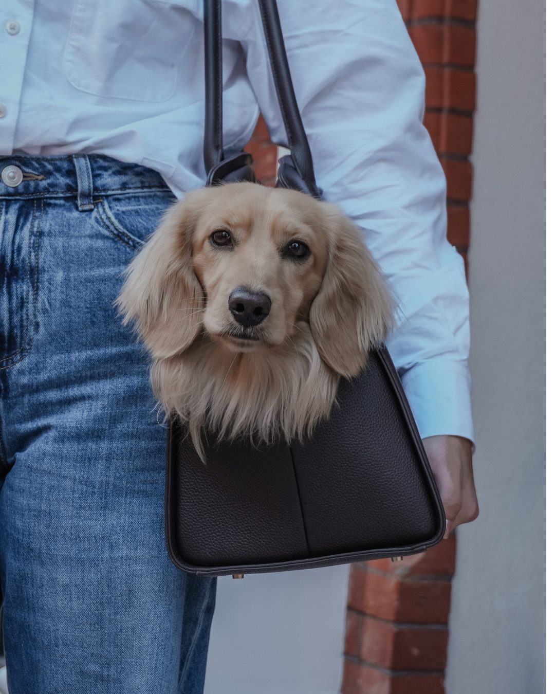 By Teddy Vegan Leather Dog Carrier - Chocolate