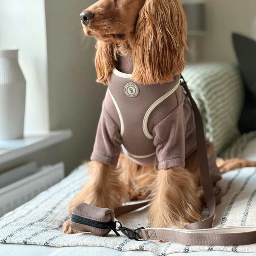 Dog wearing a brown outfit with a leash, sitting on a couch.