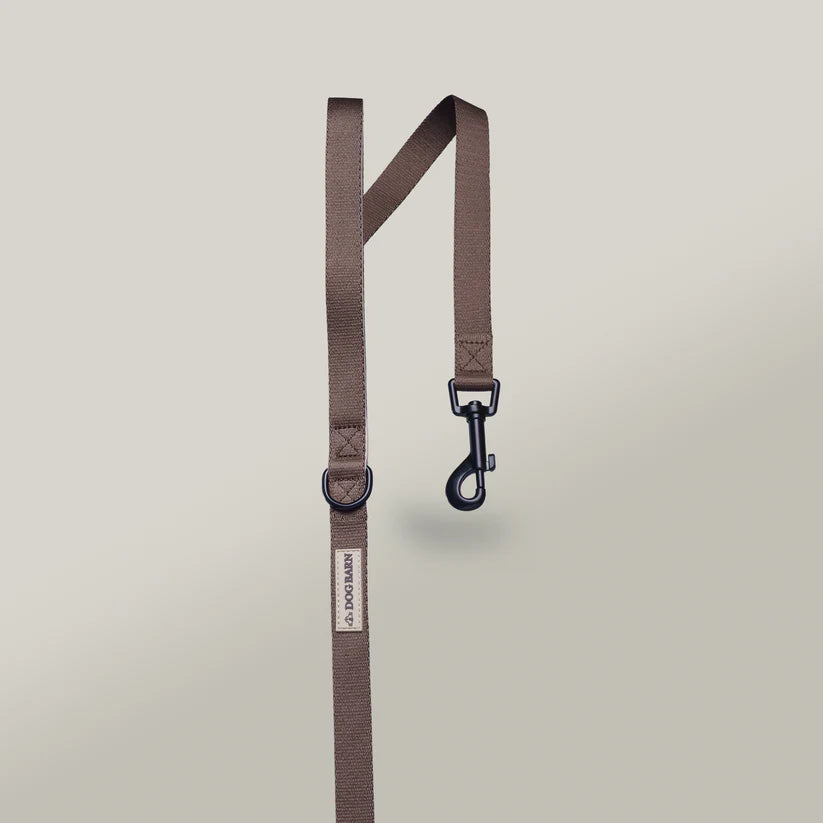 Brown dog leash with clip on a light gray background