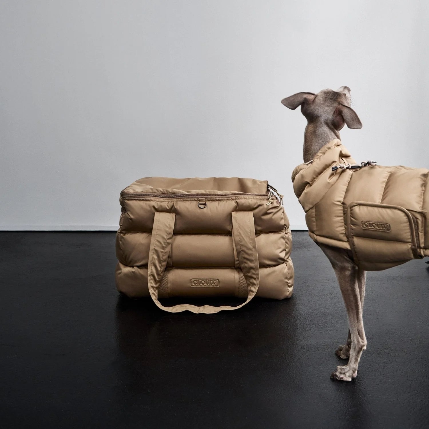 Designer dog carrier for luxury pet travel and everyday adventures