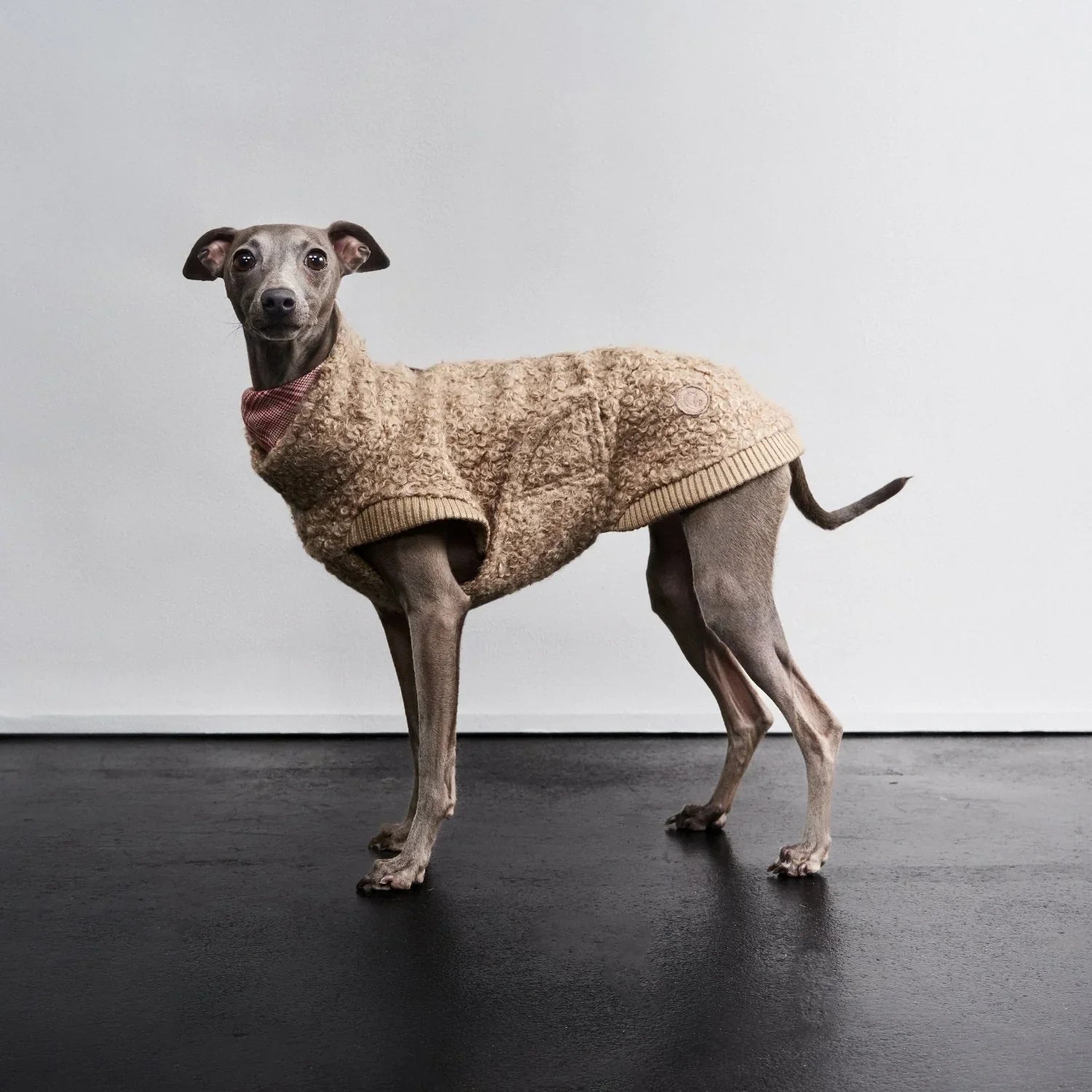 The Sighthound Edit