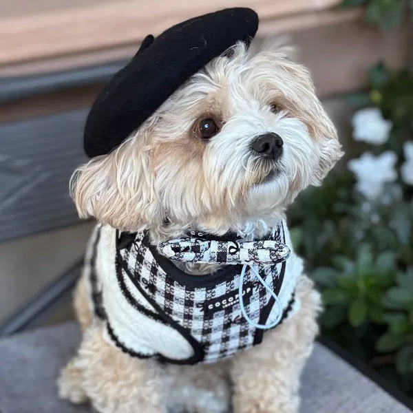 Black Parisian-style beret fashion accessory for dogs by Cocopup London.