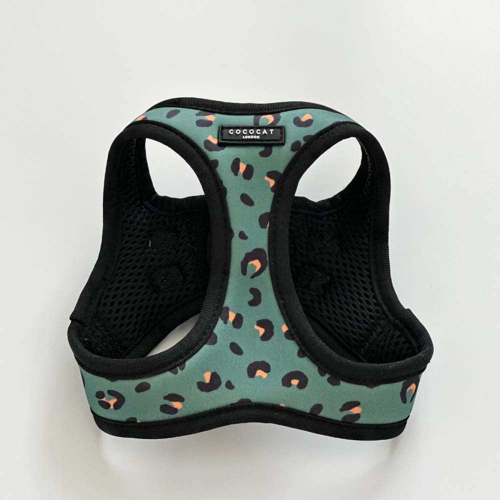 Cat Harness in Khaki Leopard by Cocopup London