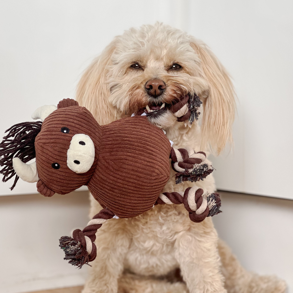 Close-up of the Harold the Highland Cow Toy plush cord fabric