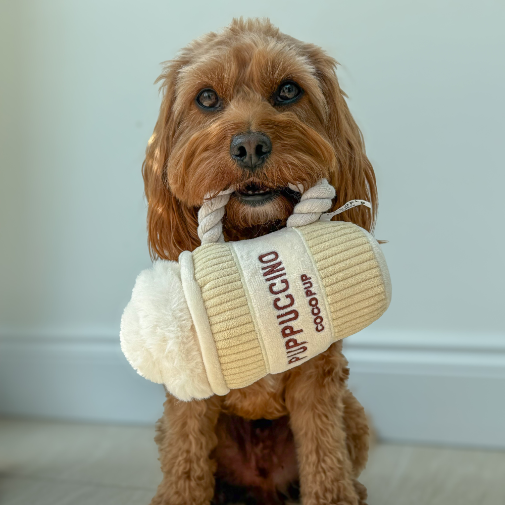 Close-up of the Puppuccino Dog Toy embroidery and plush fabric