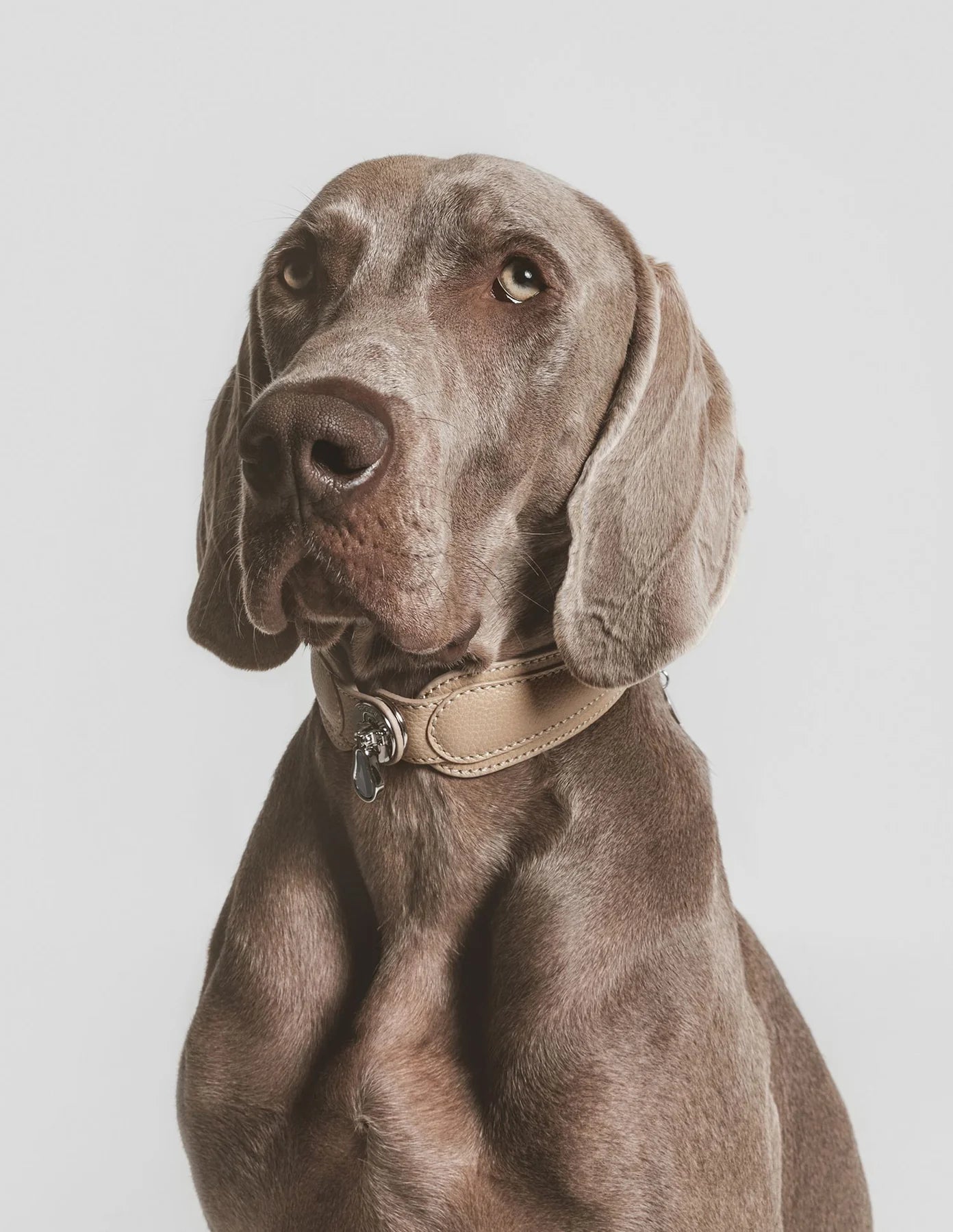 Collars