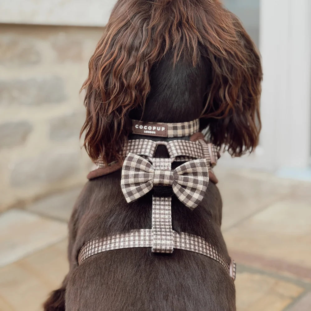 Classic brown checked dog bow tie with Velcro collar attachment.