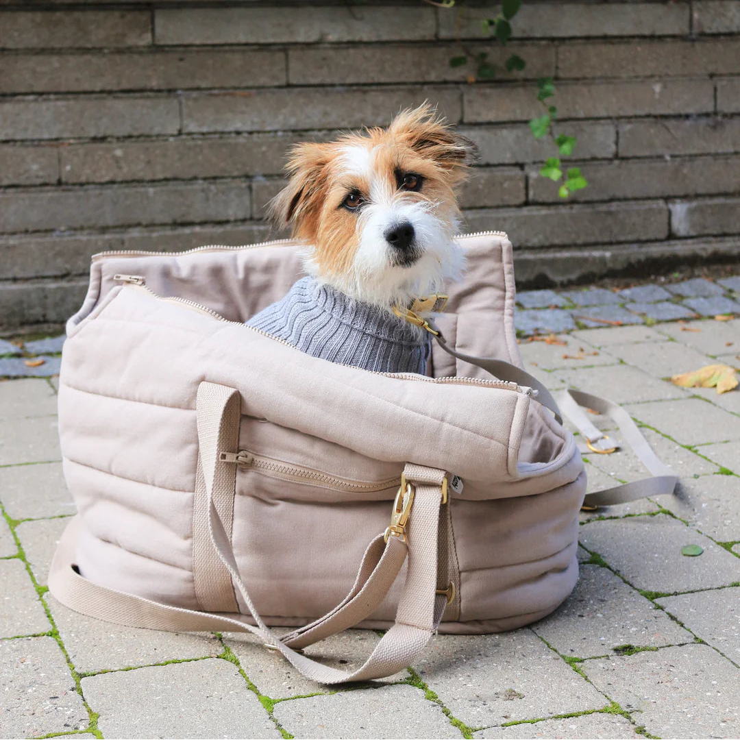 Dog sitting inside a beige bag on a stone pavement with greenery in the background
