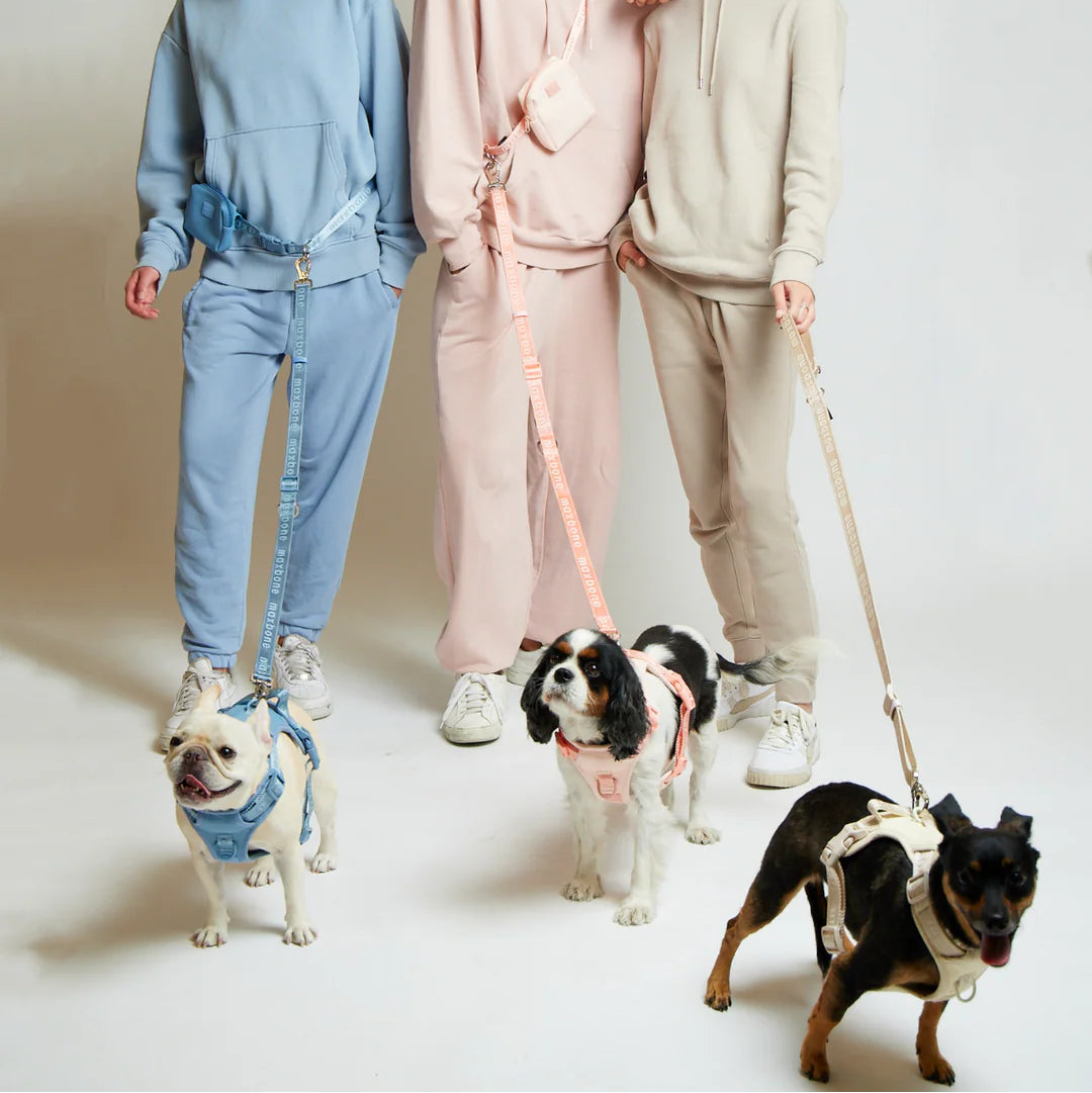 Three people in pastel-colored outfits with their dogs on a plain background