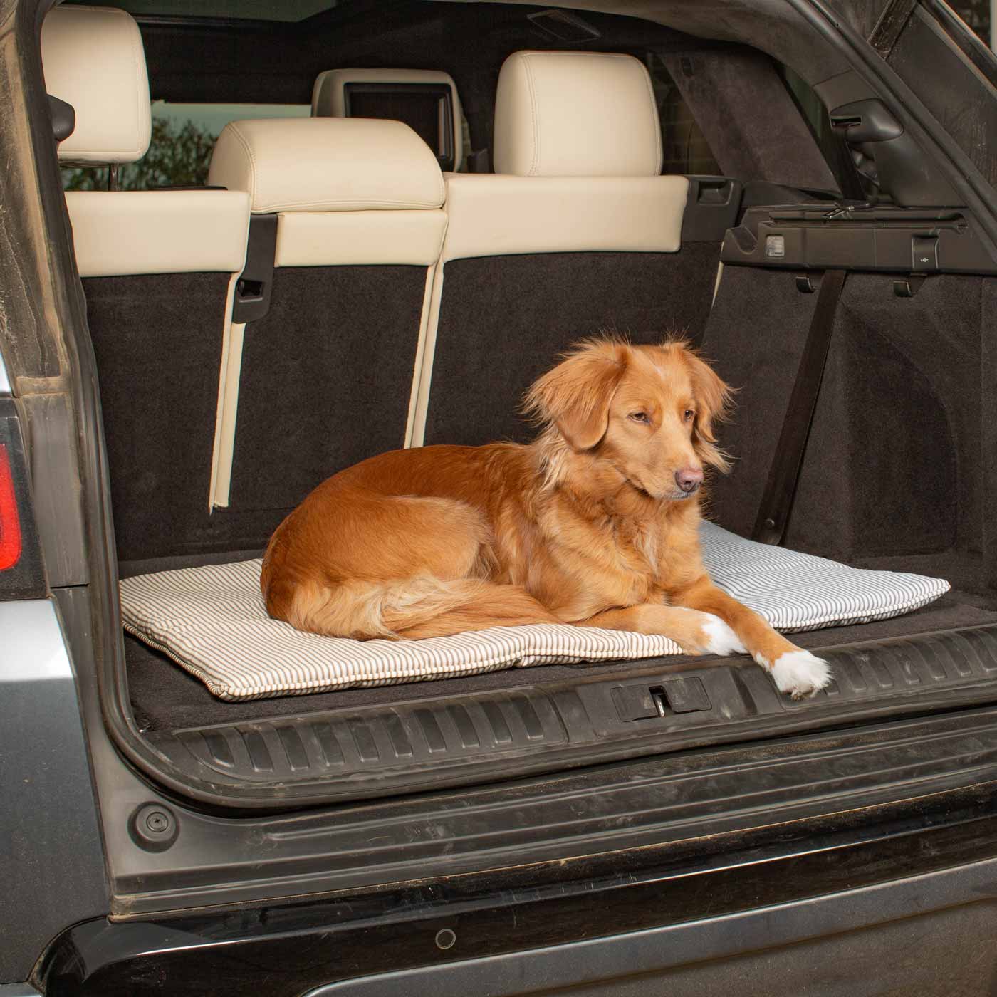 Dog lying on a pet mat in the back of a car