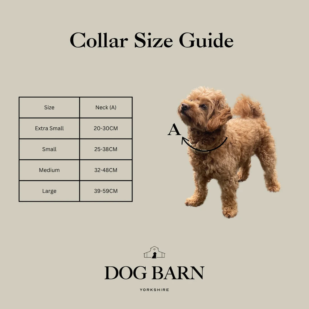 Blue Sky Corded Collar