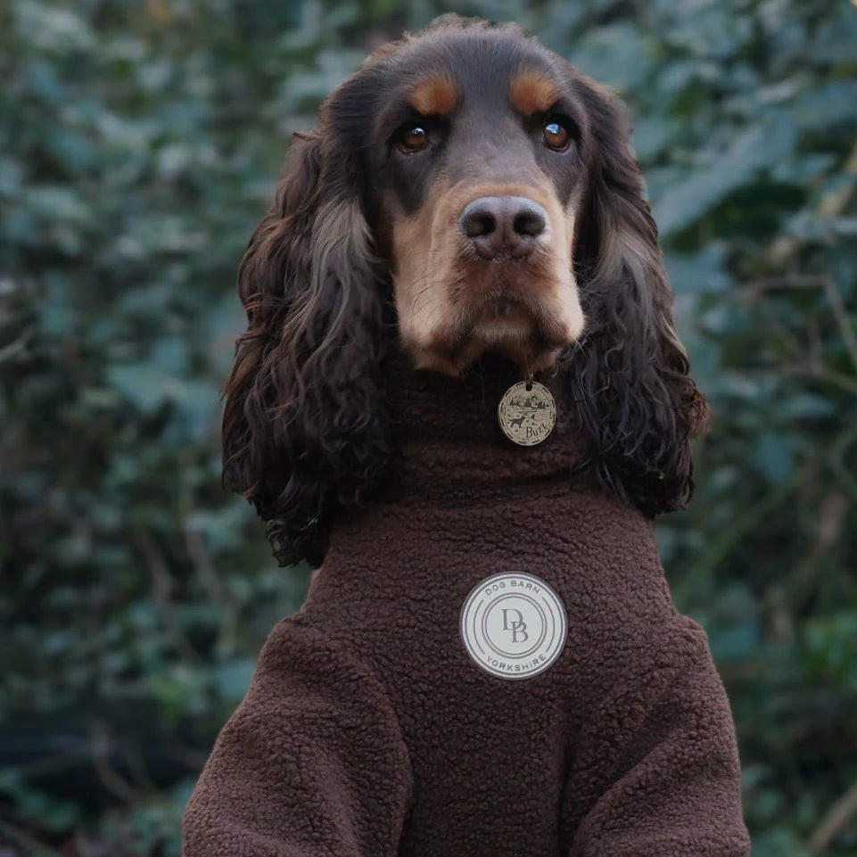 Dog wearing a brown fleece outfit with a logo, sitting outdoors.