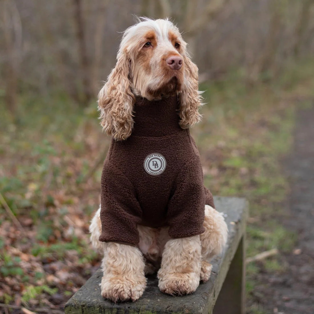 Dog wearing a brown fleece onesie with a logo, standing on a wooden bench in a forest setting.