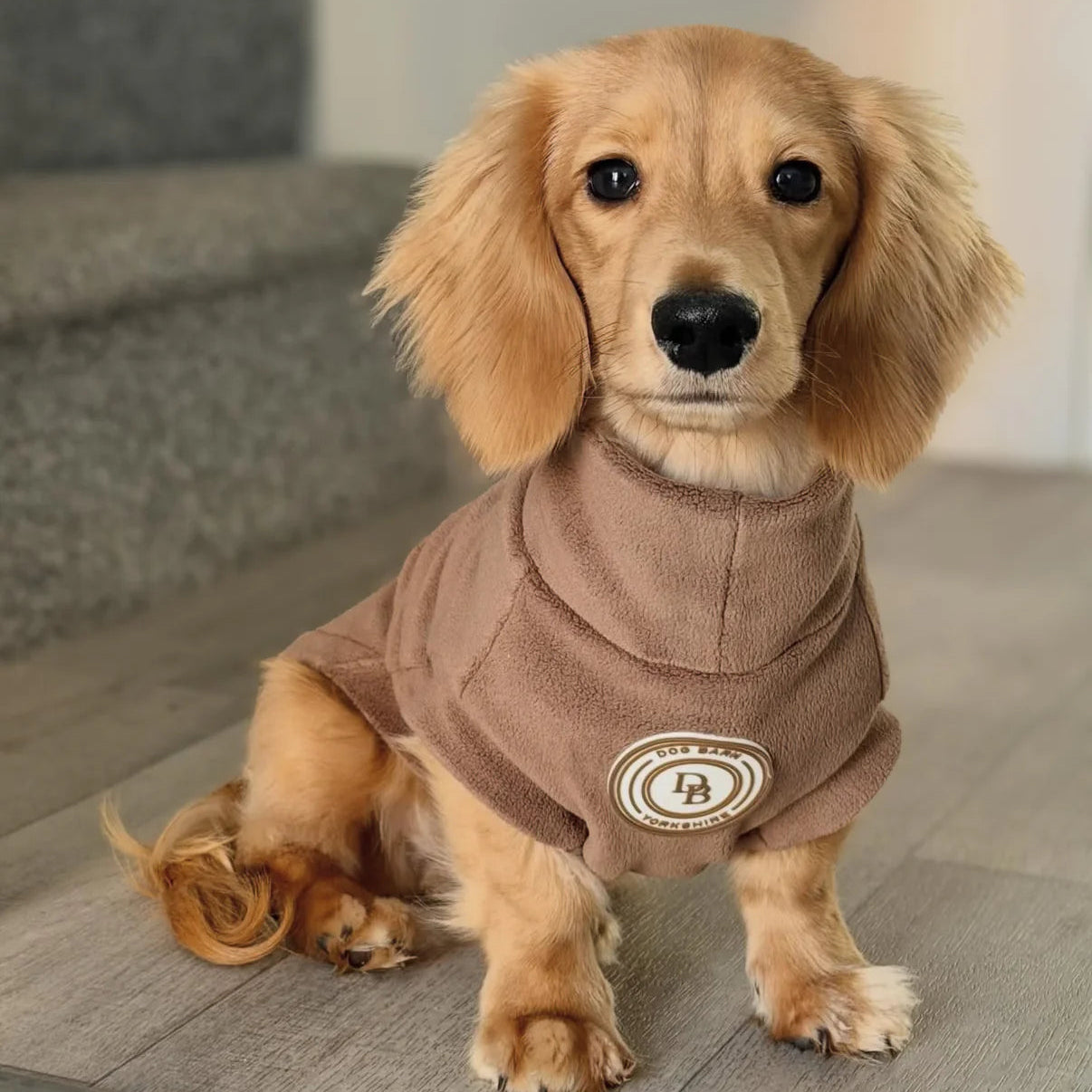 Dog wearing a brown sweater with a logo on a wooden floor.