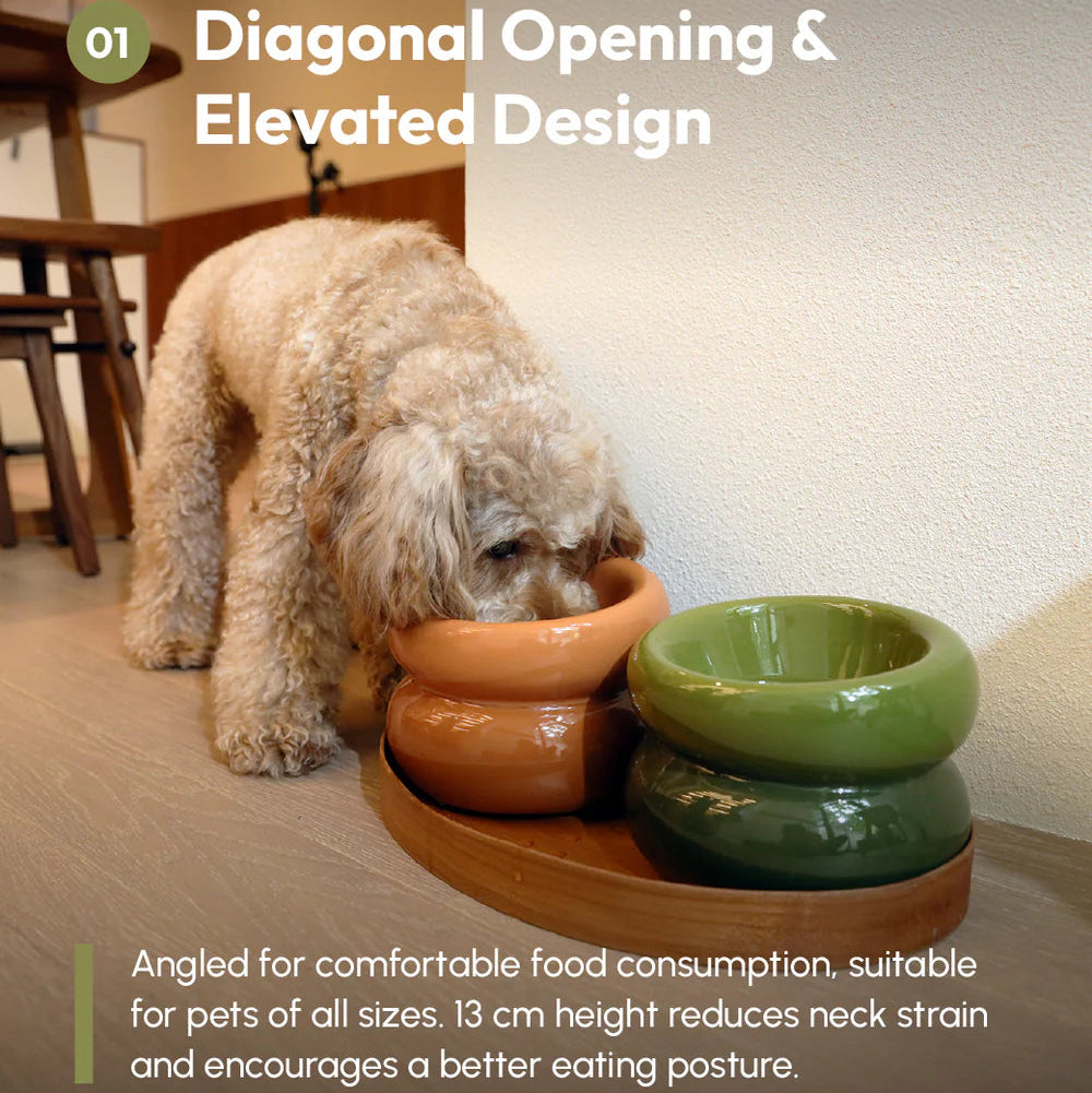Dog drinking from a ceramic bowl with text about diagonal opening and elevated design.