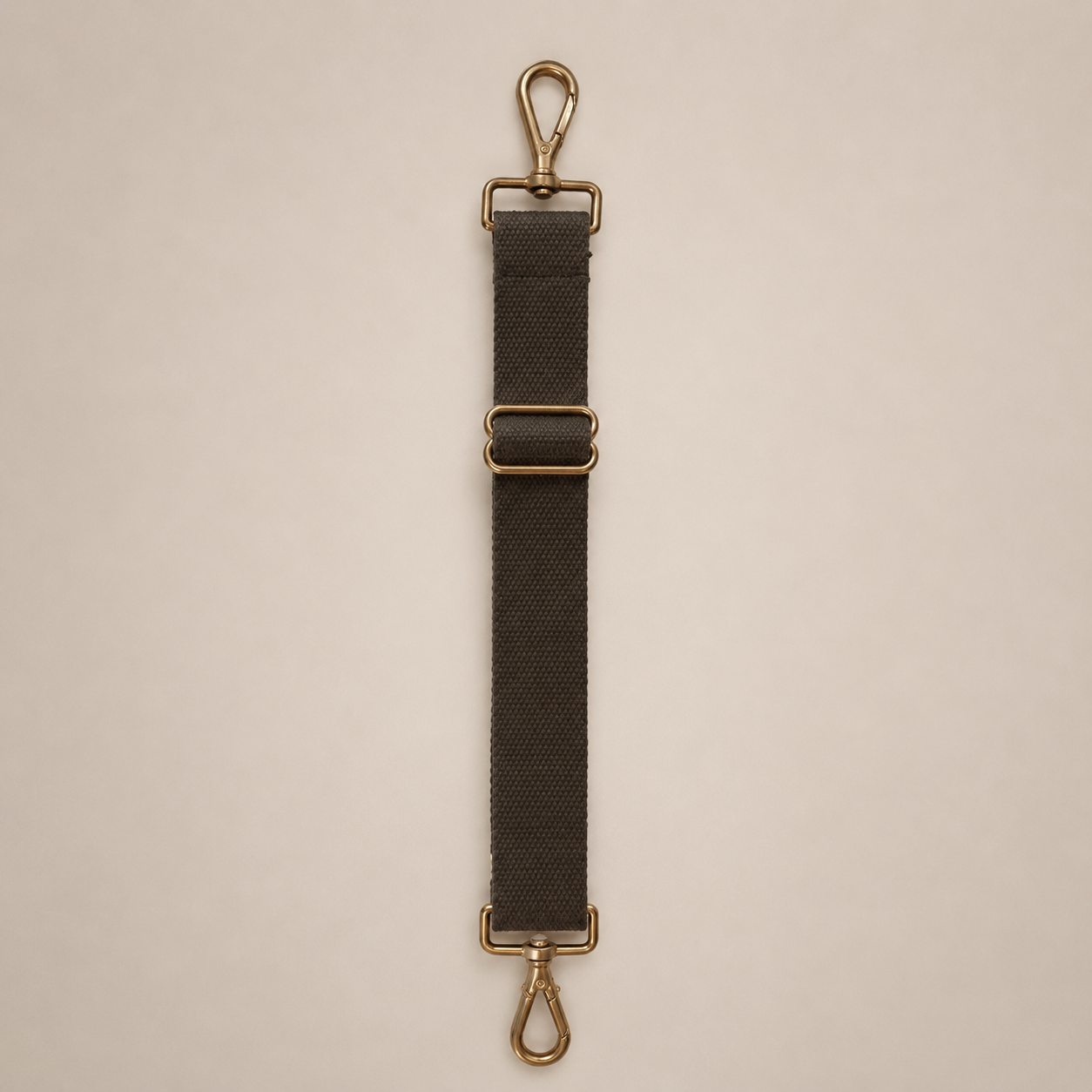 Black strap with gold hardware on a beige background