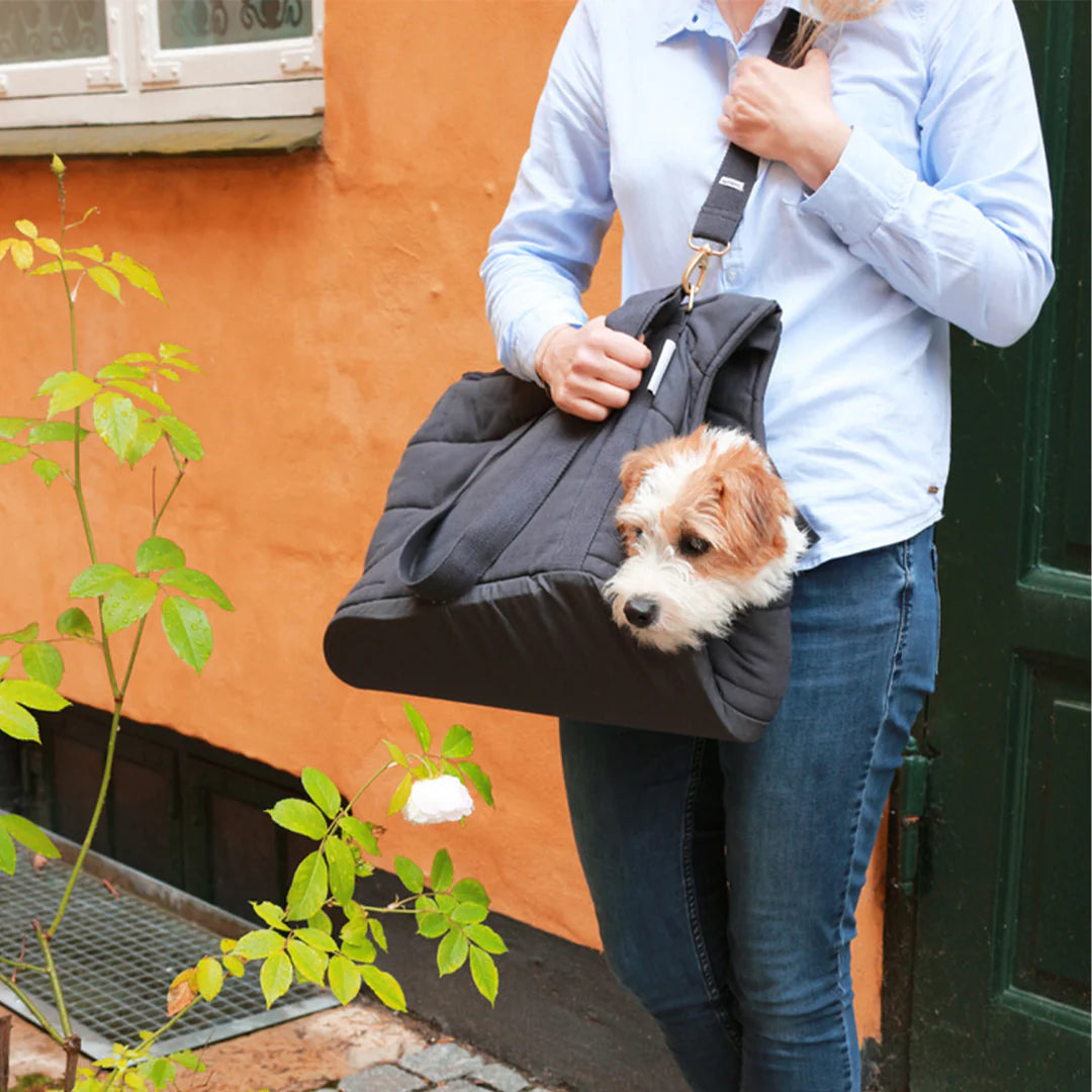 dog been carried in a grey carrier 