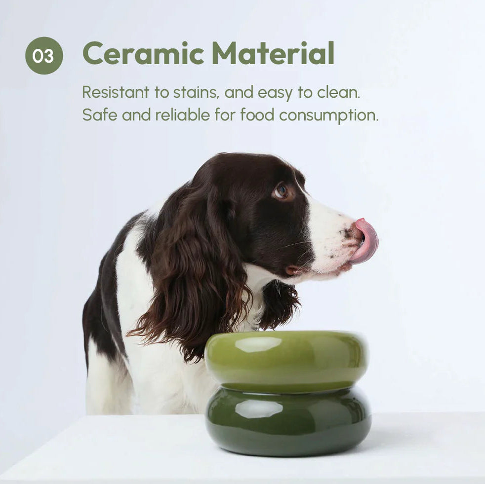Dog drinking from a green ceramic bowl with text about ceramic material properties.