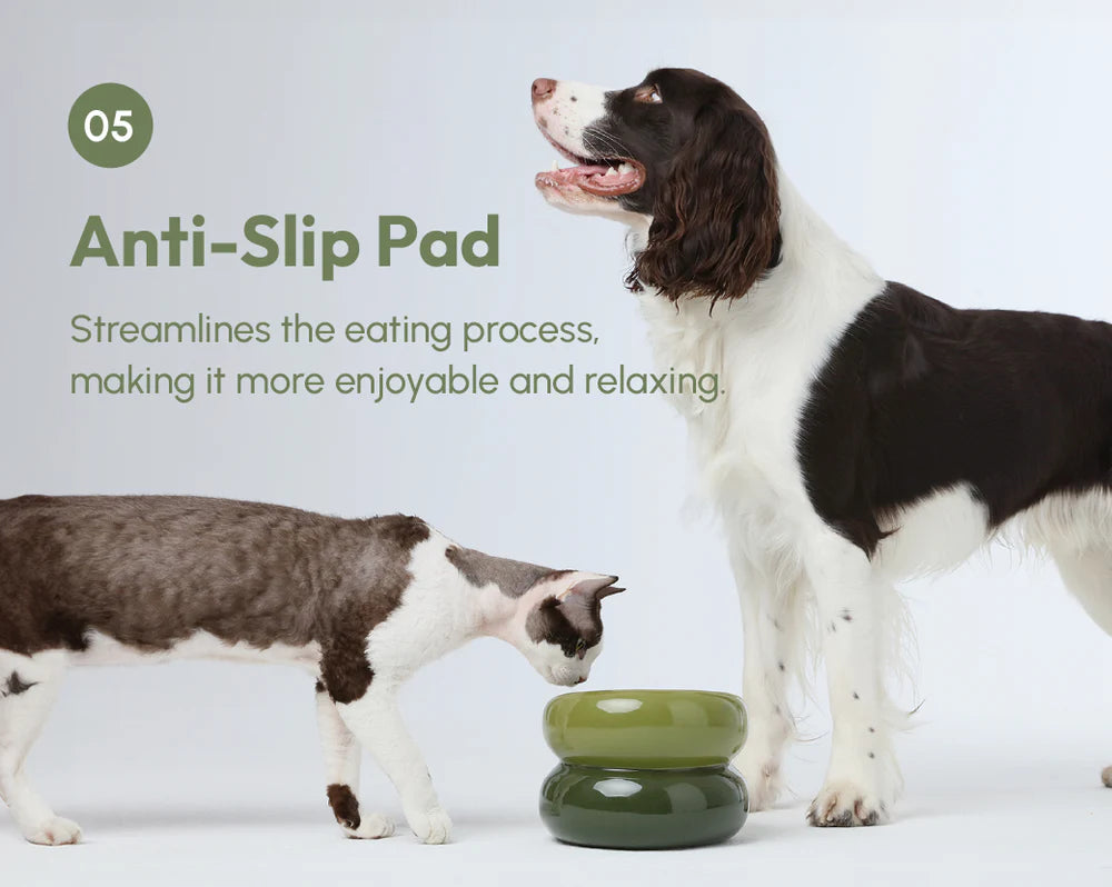 Dog and cat interacting with a green pet product on a light gray background