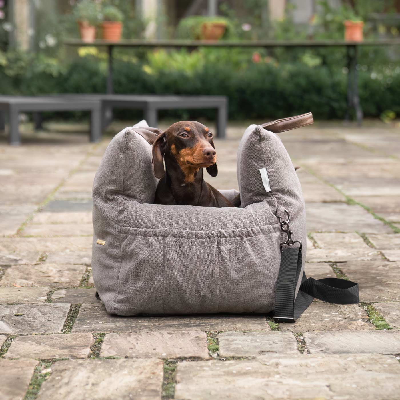 3 in 1 dog travel bed and pet carrier